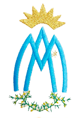 Cofradía de la Santísima Virgen de la Aliaga